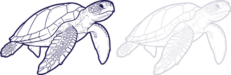 Sea Turtle Line Art Drawing showing Bold and Light Outline Styles isolated on white © Aziaur R.