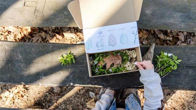 Child's nature collection box with drawings of leaves, flowers, and pinecones