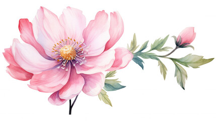 Obraz premium Delicate pink flower with green foliage and developing bud in watercolor style, perfect for elegant design elements