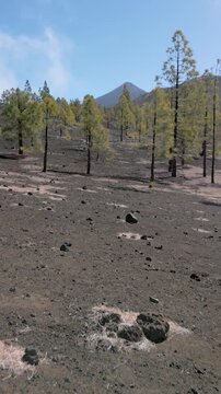 Aerial view of mountain in the Teide National Park, Tenerife, Canary Islands, Spain