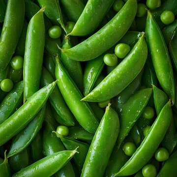 Freshly Harvested Spring Garden Peas and Snap Peas - Healthy Green Snack Full of Culinary Goodness