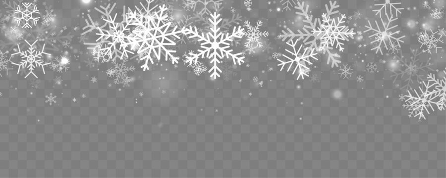 Soft snowfall with white snowflakes drifting on transparent background. Gentle motion creates calm winter atmosphere. Perfect festive design overlay.