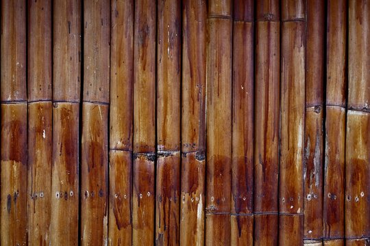 Mur en bambou naturel texture bois exotique