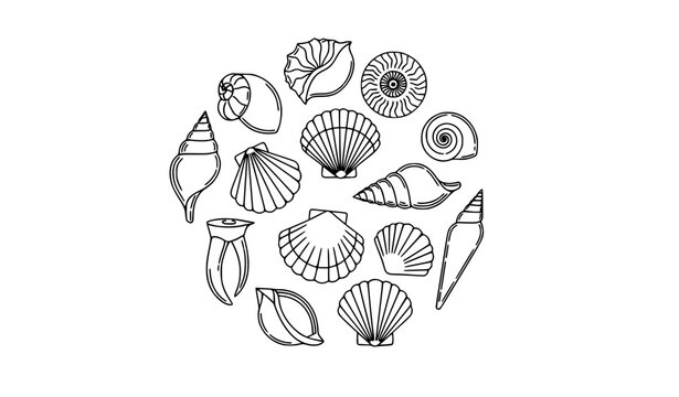 Seashell Line Art Icon Set Black and White Ocean Shell Outline Vector Collection