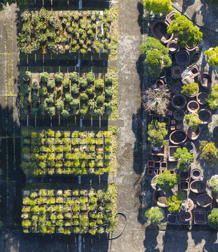 Aerial view of a plant nursery featuring organized rows of potted seedlings and a collection of ceramic garden pots in Taiwan.