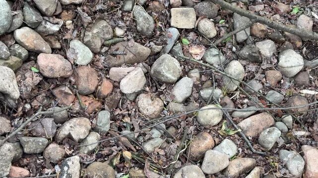 Close-up of small stones and pebbles on ground with natural texture, earthy surface with mixed colors and organic pattern, outdoor environment and background concept.