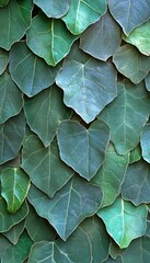 Fototapeta premium Intricate Foliage Mosaic with a Harmonious Deep Green Leaf Arrangement in Natural Abstract Design