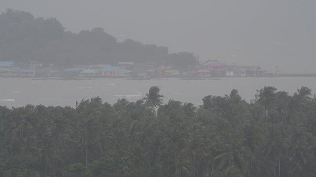 Tropical storm with coconut palms bending in high winds. Torrential rain and hurricane conditions.