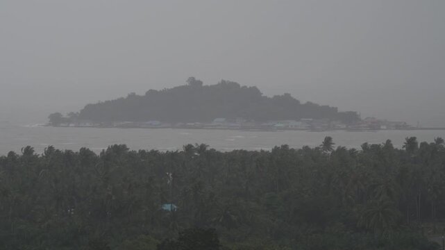 Tropical storm with coconut palms bending in high winds. Torrential rain and hurricane conditions.