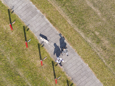 Aerial view of two people and a dog walking along a stone tile path with long shadows cast over the green grass in Taiwan.