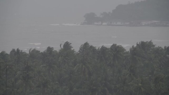 Intense winds bend palm trees as rain pours down heavily in a coastal location. Waves crash fiercely against the shore