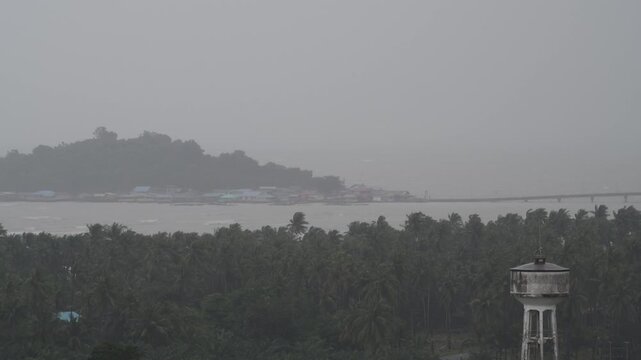 Tropical storm with coconut palms bending in high winds. Torrential rain and hurricane conditions.