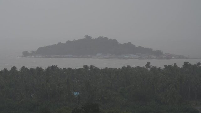 Tropical storm with coconut palms bending in high winds. Torrential rain and hurricane conditions.