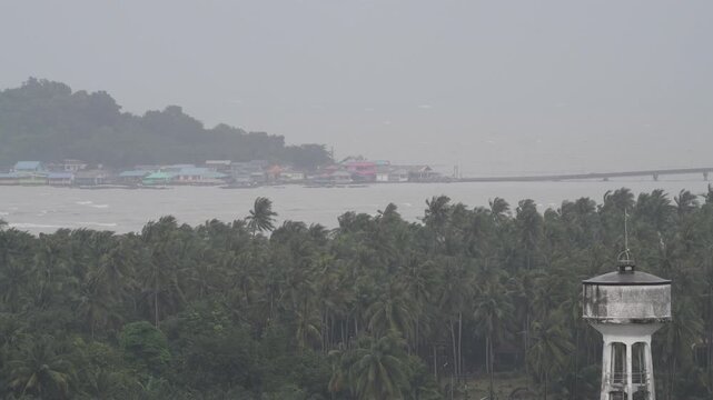 Tropical storm with coconut palms bending in high winds. Torrential rain and hurricane conditions.