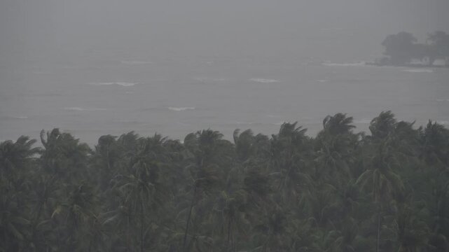 Intense winds bend palm trees as rain pours down heavily in a coastal location. Waves crash fiercely against the shore