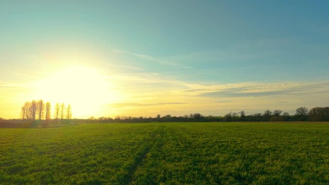 Evening sunlight over expansive green pasture meadow in rural countryside. Fodder grass field stretching across agricultural farmland for livestock feeding and hay harvest. Agribusiness landscape with