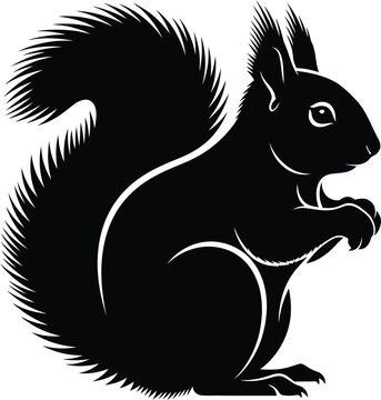 Black silhouette of a squirrel with white outlines animal