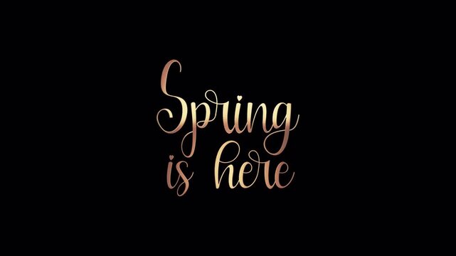 Loop Spring Is Hear golden text shine light effect animation on black abstract background. It's Spring Time text with looping flickering gold glowing light texture.Isolated alpha channel Apply prores 