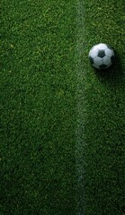 Obraz premium A classic black and white soccer ball rests on vibrant green grass, symbolizing the upcoming World Cup 2026 tournament in Mexico, USA, and Canada.