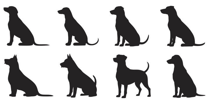 Alert standing dog silhouettes, watchful pet posture, canine profile, animal care theme, clean vector illustration eps 10 for design