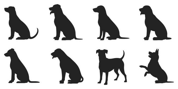 Alert standing dog silhouettes, watchful pet posture, canine profile, animal care theme, clean vector illustration eps 10 for design