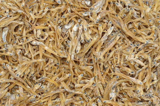 A pile of dried anchovies (ikan teri medan) isolated white background. the textured details of the naturally dried small fish. culinary content, traditional cooking ingredients, seafood markets