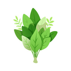 Fototapeta premium Minimal Green Leaf Bouquet Isolated Vector Illustration