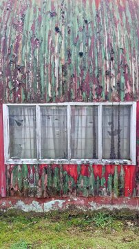 A weathered corrugated metal building with peeling red and green paint and a four-pane window stands in a grassy field. The structure shows signs of age and decay. Stratford, Taranaki, New Zealand.