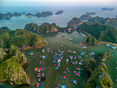Aerial view of the floating village and fish farms in the Cat Ba Archipelago surrounded by limestone karsts and emerald waters in Ha Tu, Hai Phong, Vietnam.