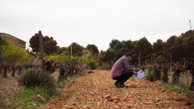 Agronomist inspect soil and check data for quality control in agricultural field.Farmer analyzing ground conditions before spring planting, improving crop production and sustainable farming efficiency
