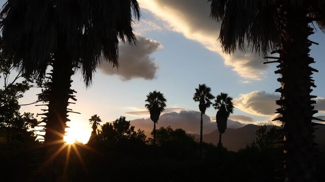 palm trees and sunset, Stanford, South Africa