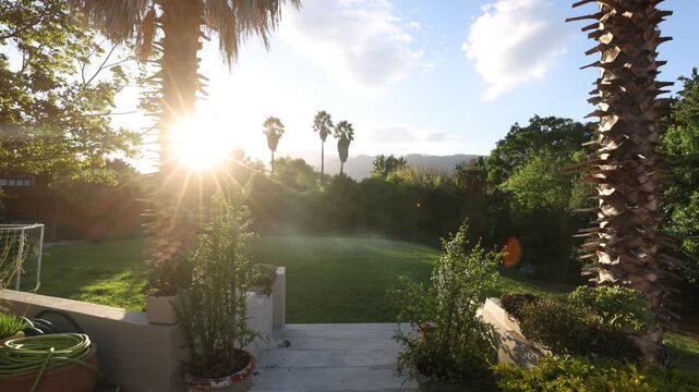 palm trees and sunset, Stanford, South Africa
