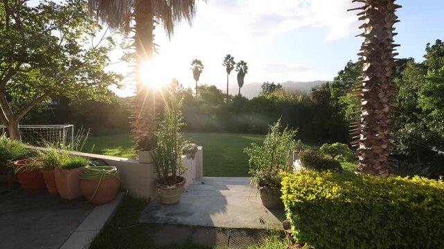 palm trees and sunset, Stanford, South Africa