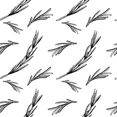 Rosemary seamless pattern in minimalist black and white vector line art. Botanical herb background for organic cosmetic packaging, aromatherapy label design, wellness branding and textile print © AnKa