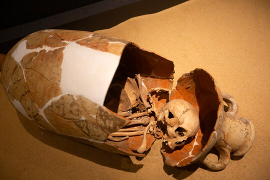 Ancient Pithos Burial with Human Skeleton and Skull in Antalya Necropolis Museum