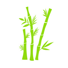 Fototapeta premium Bamboo Plant Illustration