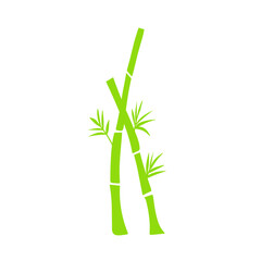 Fototapeta premium Bamboo Plant Illustration