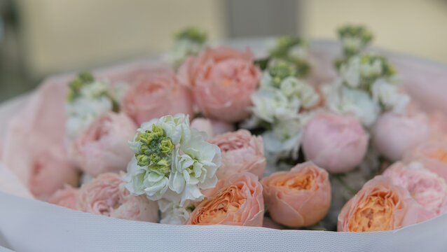 Soft pink peony roses and white matthiola flower bouquet