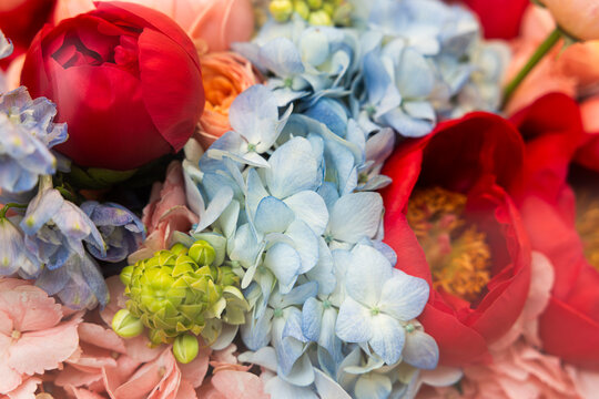 Beautiful flower bouquet with peach roses, red peonies, and blue hydrangea