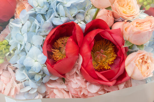 Beautiful flower bouquet with peach roses, red peonies, and blue hydrangea