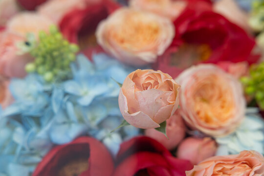 Beautiful flower bouquet with peach roses, red peonies, and blue hydrangea