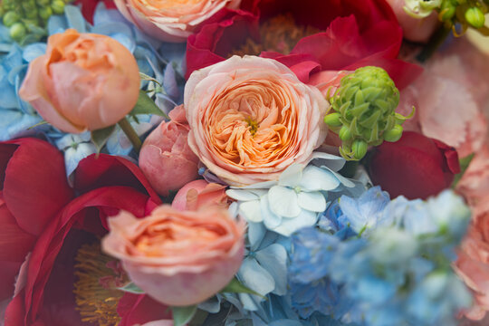 Beautiful flower bouquet with peach roses, red peonies, and blue hydrangea