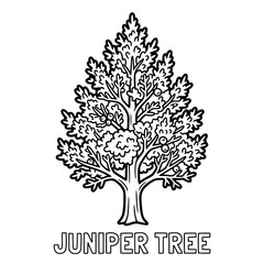 Fototapeta premium Detailed Black and White Juniper Tree Illustration for Coloring.