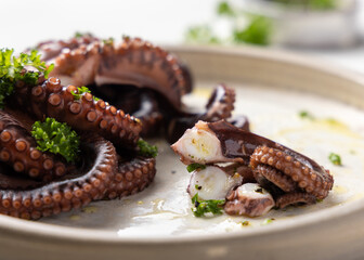 Boiled octopus tentacles and sliced pieces on ceramic plate top view. Olive oil and parsley dressing © katrinshine