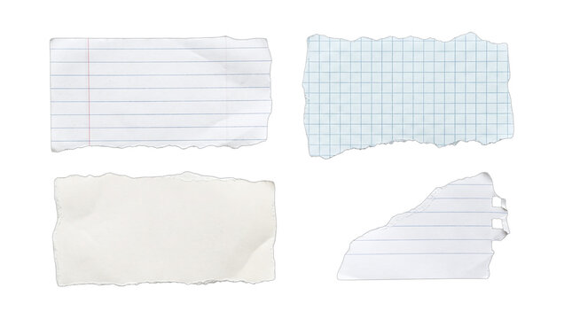 Torn pieces of lined grid and blank notebook paper on a transparent background