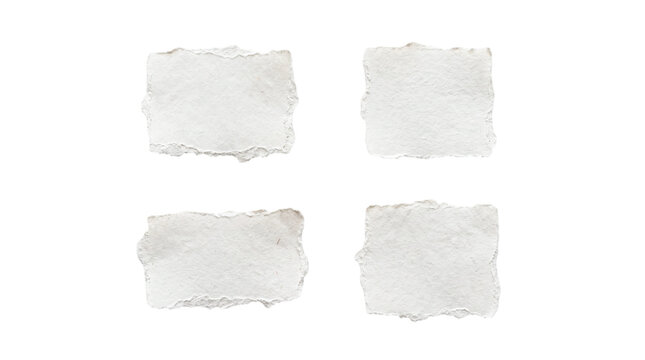 Elegant handmade cream paper scraps with soft deckled edges on a transparent background