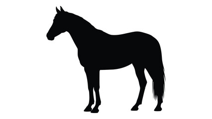 A striking silhouette of a horse stands prominently against a plain white background © MDMEHEDI