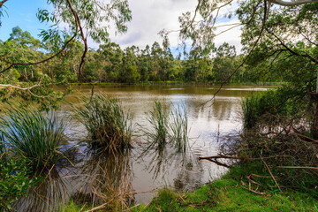 Birdsland Reserve, Belgrave Heights, Victoria, Australia © Dmitry