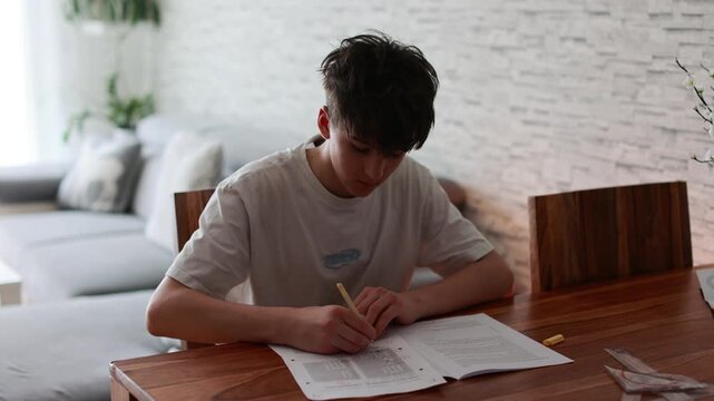 School boy, elementary school boy, preparing for exams for middle school at home, learning math and language