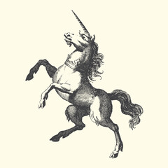 Unicorn rearing up graphic illustration mythical creature majestic illustration engraving stylized blackandwhite monochrome folklore symbolic linedrawing graphicresource category © bbilfunk